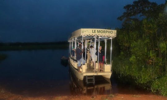 Wildlife Tours in Roura, French Guiana