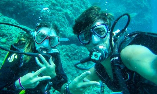 Scuba Diving Trips and Courses in Taormina