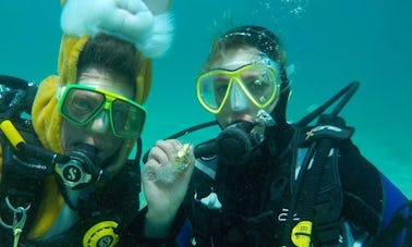 Diving Trips & Courses in Teguise, Spain