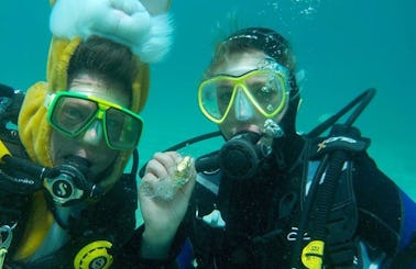 Diving Trips & Courses in Teguise, Spain