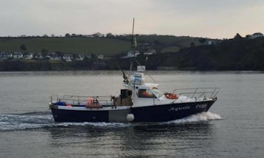 33ft ''Aquila'' Head Boat Fishing Charters in Mevagissey, United Kingdom