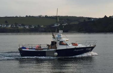 33ft ''Aquila'' Head Boat Fishing Charters in Mevagissey, United Kingdom