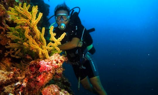 Liveaboard Diving Trips in Padang Barat