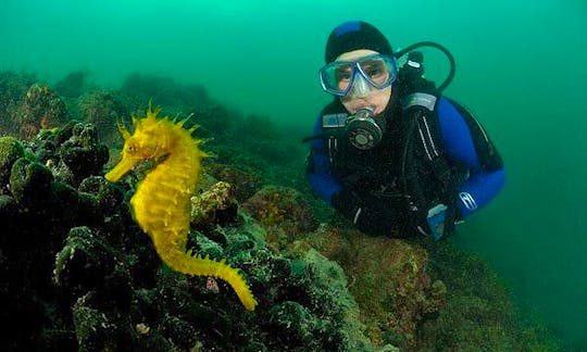 Diving Tour And Coures in Piran, Slovenia