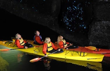Tauranga Evening Glow Worm Double Kayak Tour
