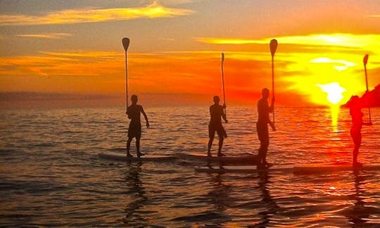 Experience the unforgettable SUP adventure in Saint Davids, United Kingdom