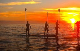 Experience the unforgettable SUP adventure in Saint Davids, United Kingdom