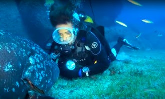 Fun Diving Trips for 5 People in Porto-Vecchio, France
