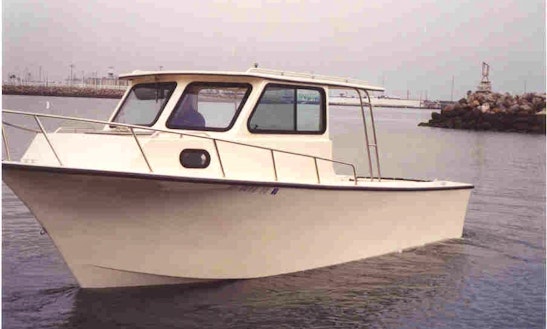 St. Petersburg Pier: Design Contest Florida, USA - e-architect Boat Rentals in Clearwater