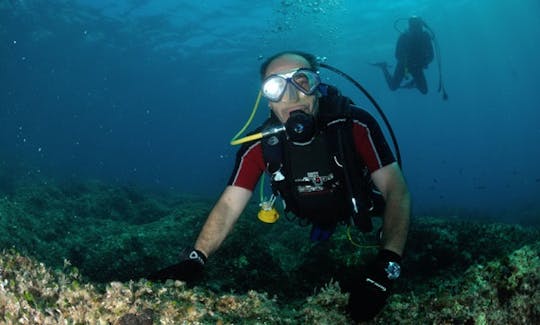 Diving Trips and Courses in Otranto, Italy