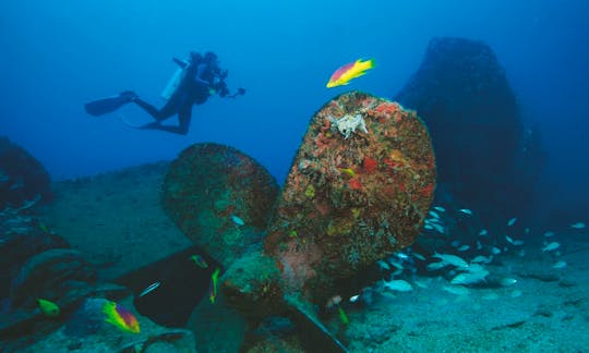 Scuba Diving in Mergulho - Arraial do Cabo / RJ