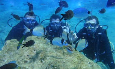 Diving Trips and Courses in Antalya, Turkey