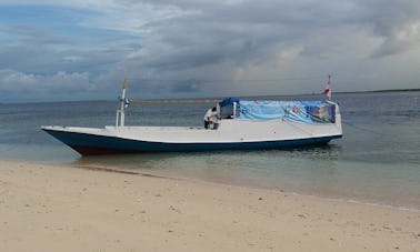 Snorkeling Trips Boat in Aikmel, Indonesia