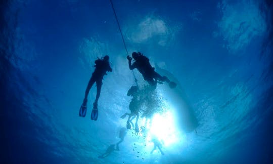 Scuba Diving Course & Trips in Jezera, Croatia