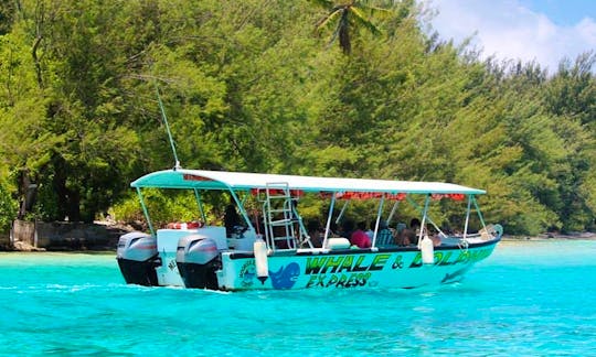 Eco Tours in Îles du Vent, French Polynesia