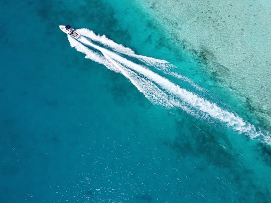 Luxury Private Speed Boat Tours