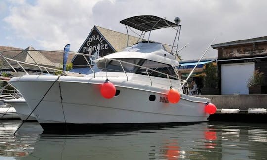 Chartes de pêche sportive « Maeva 2 » de 39 pieds pour pêcheurs sportifs à Saint-Gilles les Bains, à la Réunion