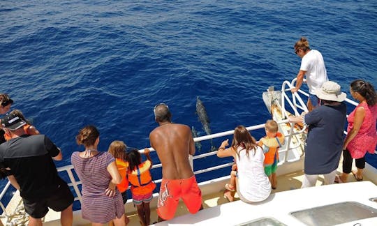 "Taonaba" Eco Tours on Houseboat in Deshaies, Guadeloupe