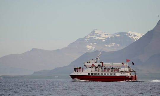 Eyjafjord Whale Watching Tour in Akureyri, Iceland