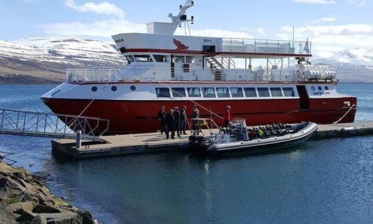 Eyjafjord Whale Watching Tour in Akureyri, Iceland