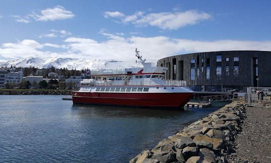 Eyjafjord Whale Watching Tour in Akureyri, Iceland