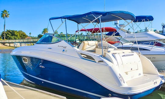 27' Sea Ray Sundancer - Captain & Fuel Included (MAP #CT3020)