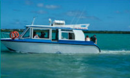 Rent a "Clama" Boat in Petit-Canal, Guadeloupe
