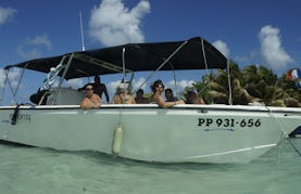Guided Mangrove Tour in Sainte Rose, Guadeloupe