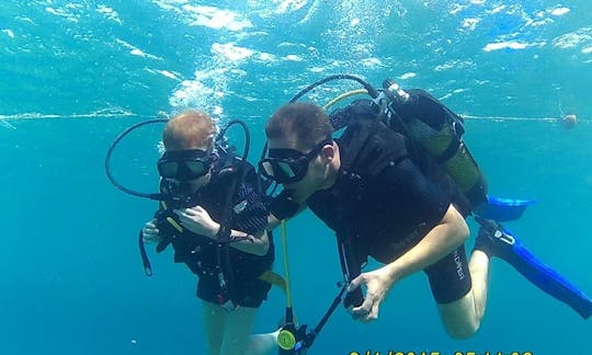 Viajes y cursos de buceo en Alsancak, Chipre