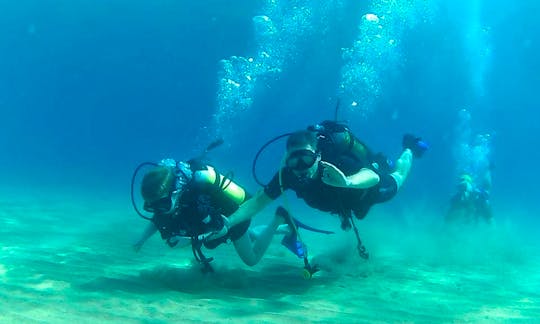 Scuba Diving Trips and Courses in Alsancak, Cyprus