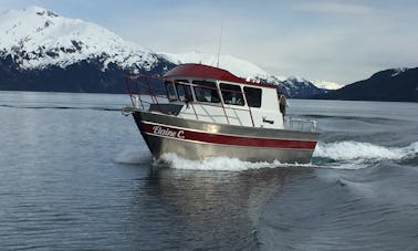 Charter the 28′ Cuddy Cabin  in Whittier, Alaska