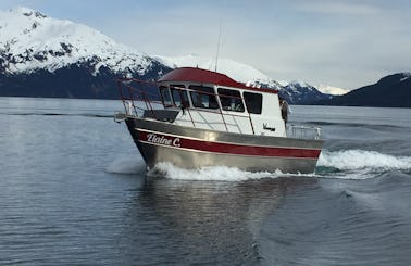 Charter the 28′ Cuddy Cabin  in Whittier, Alaska