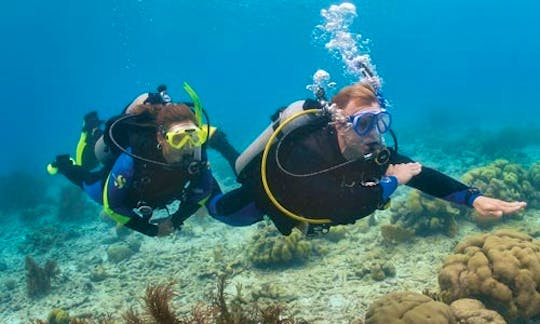 Diving Courses in Kuta, Indonesia