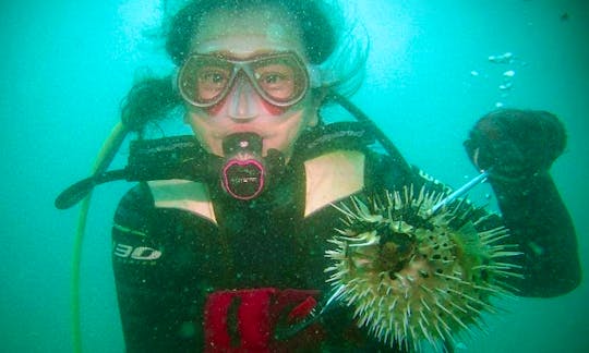 Diving Courses in Taiwan