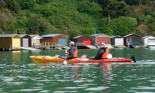 Guided Kayak Safari Tours in Akaroa, New Zealand