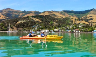Cruise Ship Passenger Trips in Akaroa, New Zealand