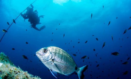 Scuba Lessons in Palafrugell, Spain