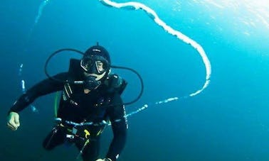 Muck Diving and Fun Diving Trips with PADI Dive Masters in Bali, Indonesia