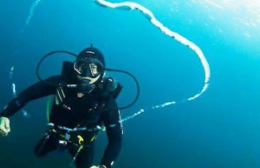 Muck Diving and Fun Diving Trips with PADI Dive Masters in Bali, Indonesia