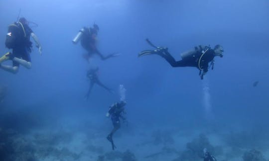 Scuba Lessons in London, United Kingdom