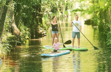 Paddleboard Tours and Courses in Burg (Spreewald)