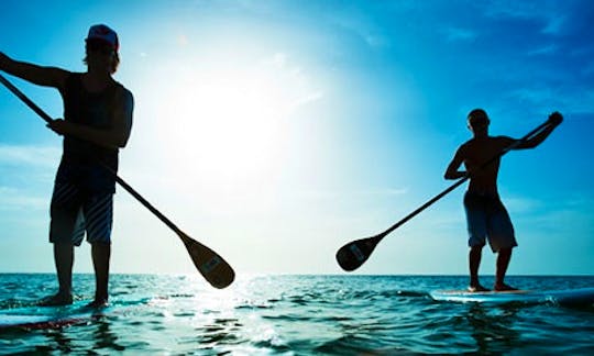Stand up Paddle Hire in Guernsey