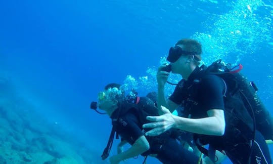 Diving Trips and Courses for Certified and Novice Divers in Paralimni, Cyprus