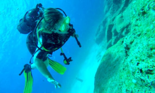 Diving Trips and Courses for Certified and Novice Divers in Paralimni, Cyprus