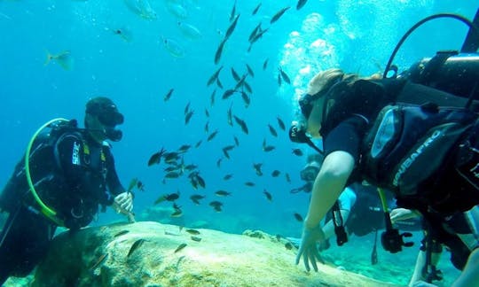 Diving Trips and Courses for Certified and Novice Divers in Paralimni, Cyprus