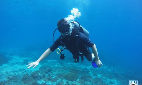 Excellente expérience de plongée dans le sud de Denpasar, en Indonésie