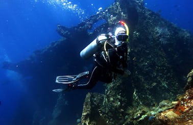 Great Diving Expereince in Denpasar Selatan, Indonesia