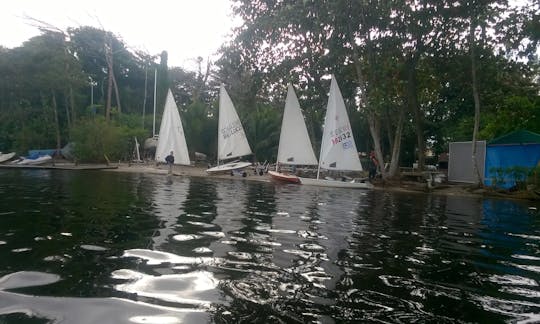 Dingue nas Lagoas da Barra, Rio de Janeiro - RJ