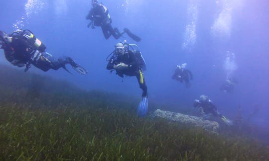 Unique Diving Trip Experience & Scuba Diving Courses in Paralimni, Cyprus