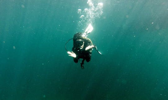 Viajes y cursos de buceo en Nubatukan